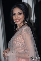 Pelli Choopulu Movie Audio Launch